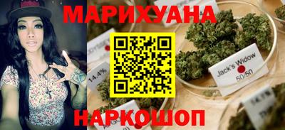 стаф Гудермес
