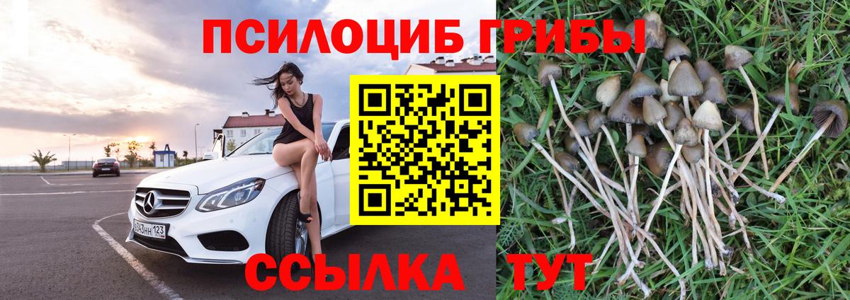 Галлюциногенные грибы Magic Shrooms Домодедово