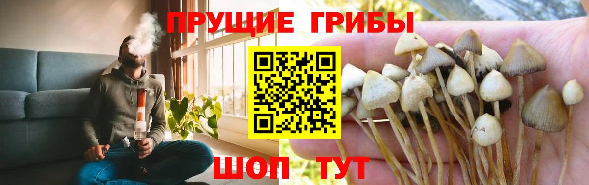 Псилоцибиновые грибы MAGIC MUSHROOMS  Вход с VPN  Домодедово 